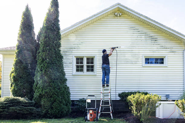 Best Roof Washing  in Oak Hill, FL